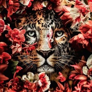 Meet your Posher, Ni